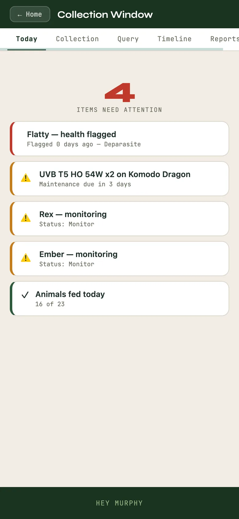 Collection Window, Today tab: what needs you, in plain words.
